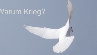 Warum Krieg?