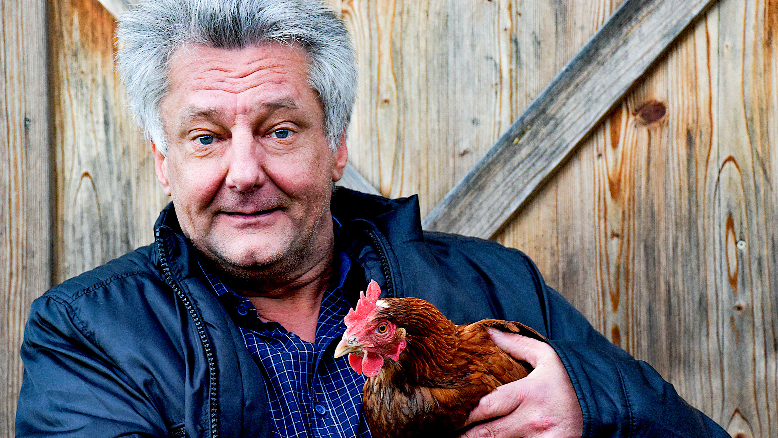 Huhn am Biohof